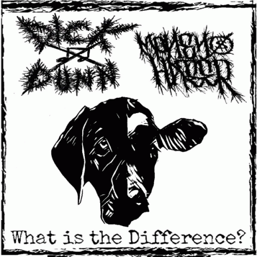 Money Hater : What Is the Difference?